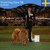 News - 2008 - Stockholm Unicca