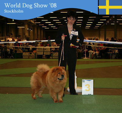 News - 2008 - Stockholm Unicca