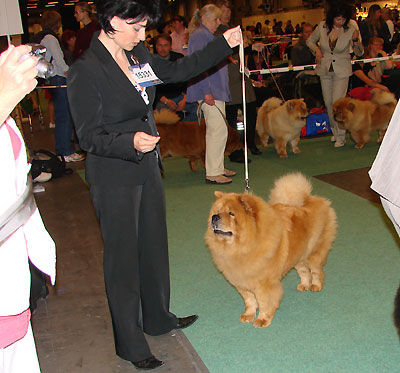 News - 2008 - Stockholm Unicca 2
