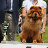 News 2012 - NHA Aarau - Bazooka (3)