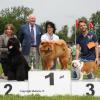 News 2012 - NHA Aarau - Bazooka (5)