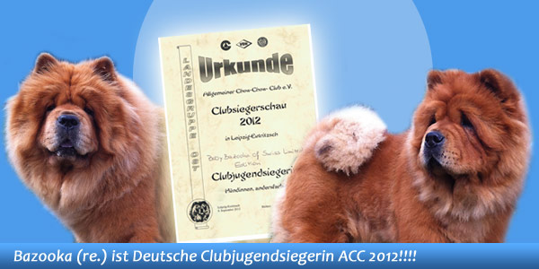 News 2012 - ACC Clubsiegerschau 2012