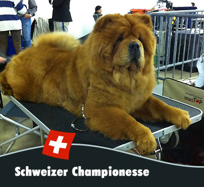 News 2012 - Lausanne - Alinghi Championesse