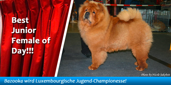 News 2012 - IHA Luxembourg - Bazooka in the Spotlight