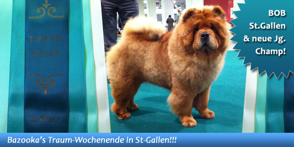 News 2012 - IHA St-Gallen - BOB
