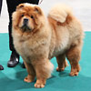 News 2012 - IHA St-Gallen - (1)
