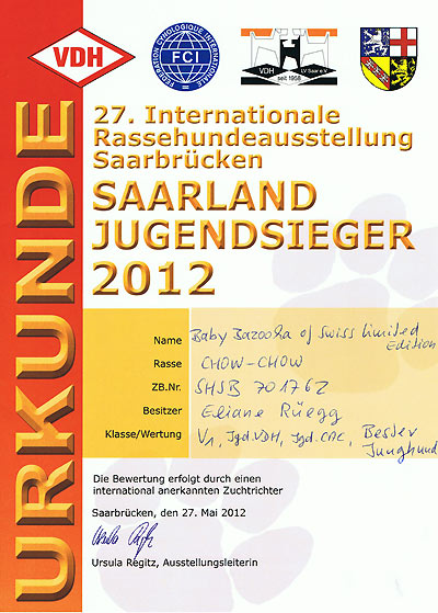 News 2012 - IRA Saarbrücken