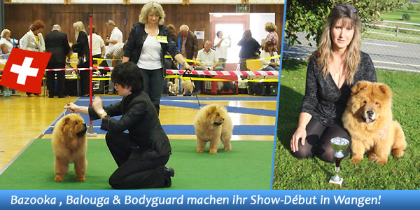 News - Chows - Clubschau 2011 - Spotlight