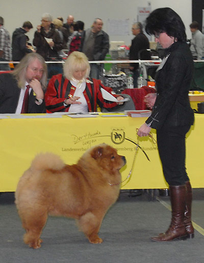 News 2012 - IHA Offenburg Bazooka