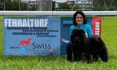 News - Chows - Fehraltorf 2021
