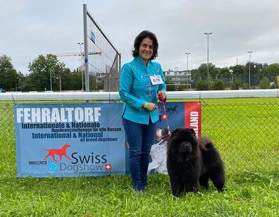 News - Chows - Fehraltorf 2021-2