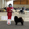 News - Chows - IRAS Karlsruhe 2021 - Milly