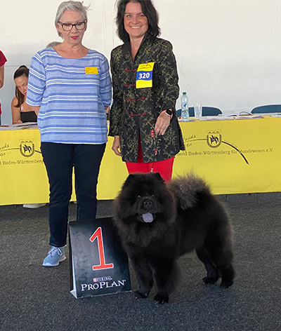 News - Chows - 2022 - Offenburg - Milly