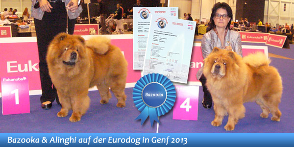 News - Chows - Eurodog 2013 im Spotlight