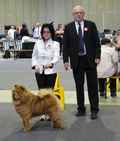 News - Chows - 2014 - Luxembourg - Bazooka