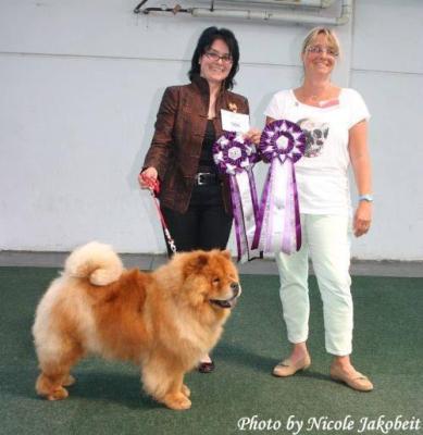 Klicken Sie zum Vergrössern! News - Chows - 2014 - Saarbrücken - Maui
