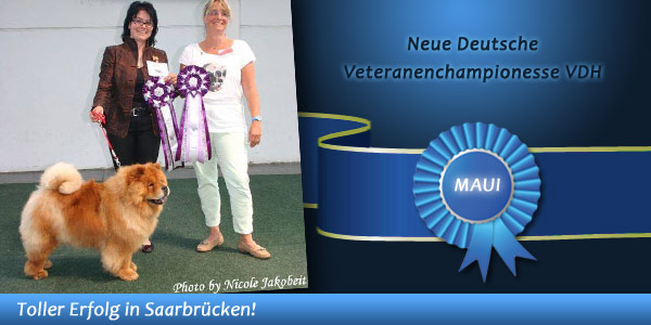 News - Chows - 2014 - Saarbrücken - Maui - Spotlight