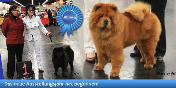 News - Chows - 2014 - Nürnberg - Spotlight