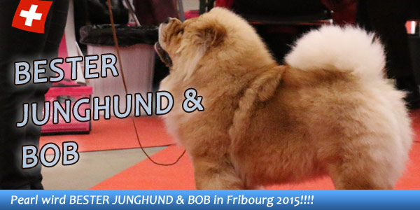 News - Chows - 2015 - Fribourg - Spotlight
