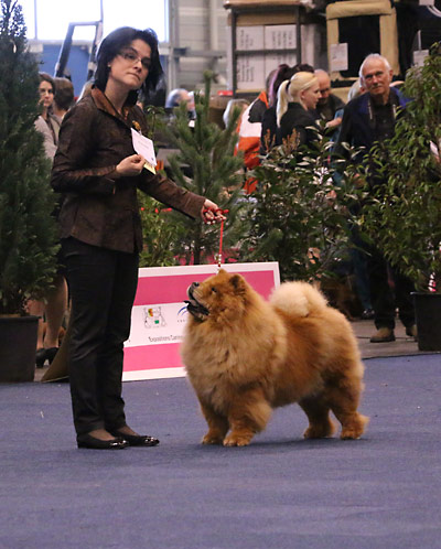 Klicken Sie zum Vergrössern! News - Chows - 2015 - Fribourg - Unicca
