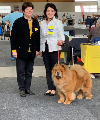 News - Chows - 2018 - Karlsruhe Alinghi