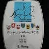 News - Pferde - 2012 - R-Schweizermeisterschaft Dressur Hüntwangen