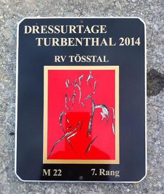 News - Pferde - 2014 - Dressurtage Turbenthal