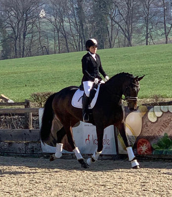 New - Pferde - 2019 - Dressurtage Birmensdorf ZH