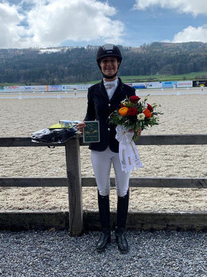 New - Pferde - 2019 - Pferdesporttagen in Hitzkirch