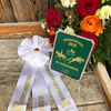 New - Pferde - 2019 - Pferdesporttagen in Hitzkirch-2