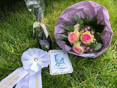 New - Pferde - 2019 - Dressurtage Niederrohrdorf