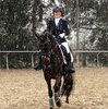 News - Pferde - 2023 - Dressurtage Buchs-3