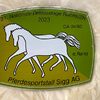 News - Pferde - 2023 - Dressurtage Buchs-5