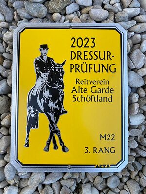 News - Pferde - 2023 - Dressurtage Holziken