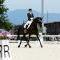 Unsere Pferde - Bilder 2014-15