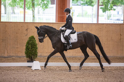 News - Pferde - 2021 - 5. Juni 2021 Horse Park Masters Dielsdorf