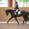 News - Pferde - 2021 - 5. Juni 2021 Horse Park Masters Dielsdorf-2