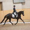 News - Pferde - 2021 - 5. Juni 2021 Horse Park Masters Dielsdorf-3