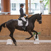 News - Pferde - 2021 - 5. Juni 2021 Horse Park Masters Dielsdorf-4