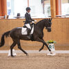 News - Pferde - 2021 - 5. Juni 2021 Horse Park Masters Dielsdorf-5