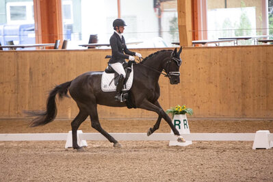 News - Pferde - 2021 - 5. Juni 2021 Horse Park Masters Dielsdorf-5