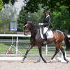 News - Pferde - 2021 - 3. Juni 2021 Horse Park Masters Dielsdorf-2