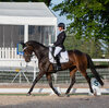 News - Pferde - 2021 - 3. Juni 2021 Horse Park Masters Dielsdorf-3