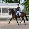 News - Pferde - 2021 - 3. Juni 2021 Horse Park Masters Dielsdorf-4