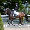 News - Pferde - 2021 - 3. Juni 2021 Horse Park Masters Dielsdorf-8