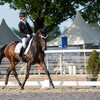 News - Pferde - 2021 - 3. Juni 2021 Horse Park Masters Dielsdorf-10