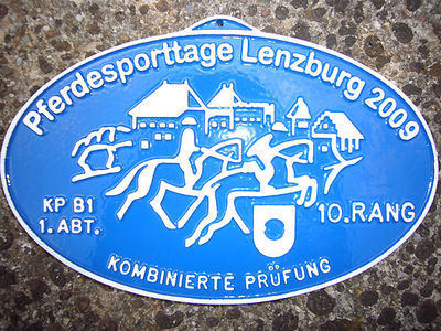 News - Pferde - 2009 - Rendezvous Lenzburg