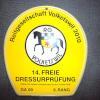 News - Pferde - 2010 - Freie Dressurprüfungen in Volketswil