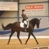 News - Pferde - 2010 - Dressurtage Buchs ZH (1)