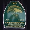 News - Pferde - 2010 - Dressurprüfung - Team Rothenfluh Fohlenweid Bremgarten